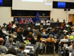 Zahtev za uspostavljanje Direkcije za invalidnost Evropske komisije