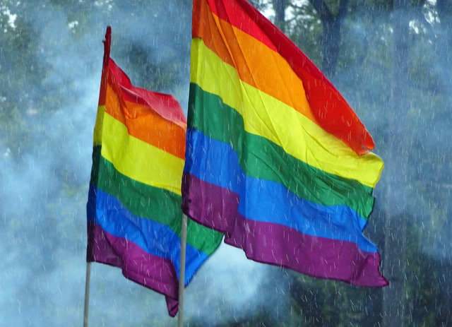 U Australiji sprovedeno istraživanje o LGBTQ osobama sa intelektualnim invaliditetom