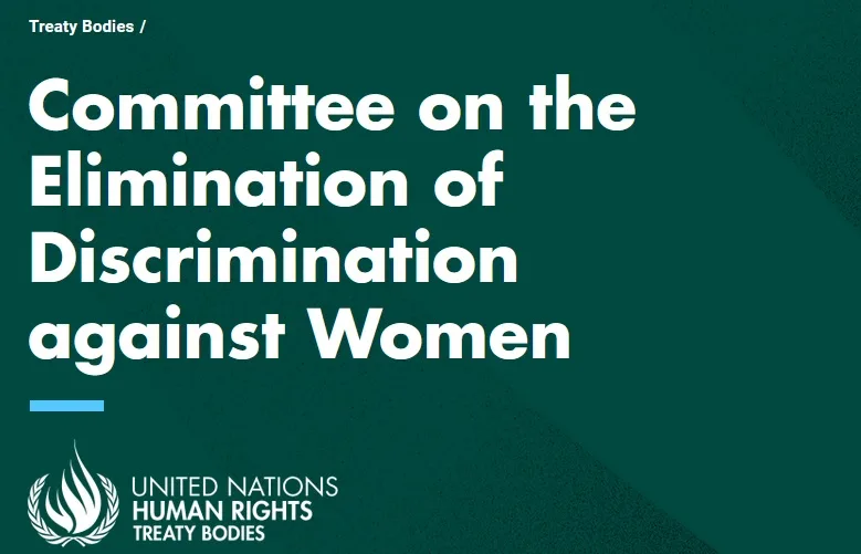 85. zasedanje UN Komiteta za prava žena: konsekvence za žene sa invaliditetom